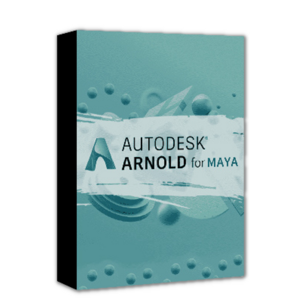 AutoDesk Arnold 2024™